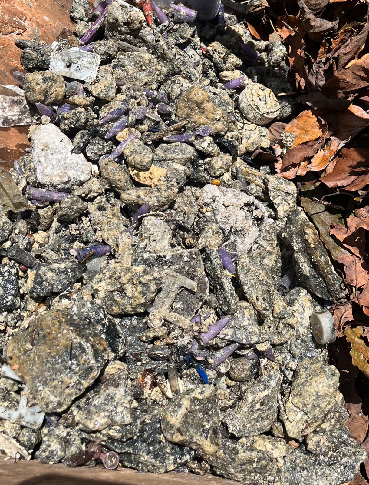 Descarte irregular na Lagoa dos Pássaros - Foto 3
