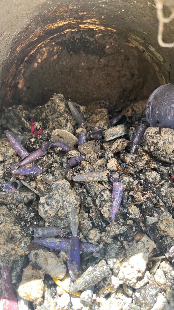Descarte irregular na Lagoa dos Pássaros - Foto 4